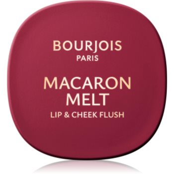 Bourjois Macaron Melt Lip & Cheek Flush blush 2 in 1 - imagine 2